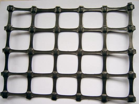 �p���������